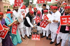 चढ़ावा चोर...गद्दी छोड़, संसद परिसर में सपा सांसदों का प्रदर्शन