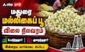 மதுரை மல்லிகை விலை ரூ.800... மேலும் உயருமா? ஆடி வெள்ளிக்கு டாப்புக்கு போகுமா !