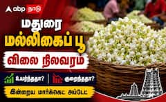 மதுரை மல்லிகை விலை ரூ.800... மேலும் உயருமா? ஆடி வெள்ளக்கு டாப்புக்கு போகுமா !