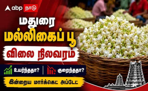 மதுரை மல்லிகை விலை ரூ.800... மேலும் உயருமா? ஆடி வெள்ளிக்கு டாப்புக்கு போகுமா ! மதுரை மல்லிகை விலை ரூ.800... மேலும் உயருமா? ஆடி வெள்ளிக்கு டாப்புக்கு போகுமா !