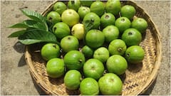 Guava For Breakfast : ఉదయాన్నే బ్రేక్‌ఫాస్ట్‌లో రోజూ ఒక జామపండు తింటే కలిగే 7 అద్భుతమైన ప్రయోజనాలు ఇవే