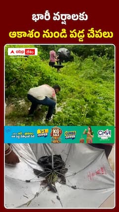 భారీ వర్షాలకు ఆకాశం నుండి పడ్డ చేపలు