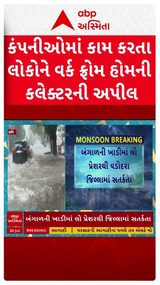 Vadodara Red Alert : વડોદરામાં કંપનીઓમાં કામ કરતાં લોકોને વર્ક ફ્રોમ હોમની અપીલ, કાલે સ્કૂલોમાં રજા