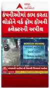 Vadodara Red Alert : વડોદરામાં કંપનીઓમાં કામ કરતાં લોકોને વર્ક ફ્રોમ હોમની અપીલ, કાલે સ્કૂલોમાં રજા