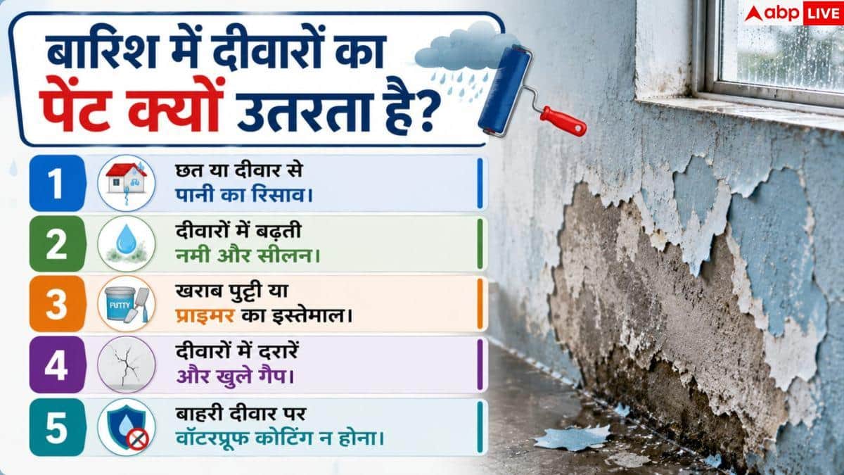 Monsoon Wall Damage: सीलन से झड़ने लगा है दीवारों का पेंट, इन आसान हैक्स से तुरंत पाएं छुटकारा