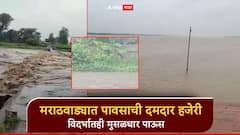मराठवाड्यात पावसाची दमदार हजेरी; विदर्भातही मुसळधार पाऊस, सिपना नदीला पूर, अनेक गावांचा संपर्क तुटला