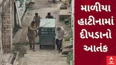 માળીયા હાટીનામાં દીપડાનો આતંક, તાલુકા પંચાયત નજીક યુવાન પર હુમલો
