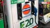 E 20 Petrol : ১২৫ টাকায় চলে যেত পেট্রোল ! E 20 নিয়ে বিরোধীদের জবাব দিলেন গড়করি