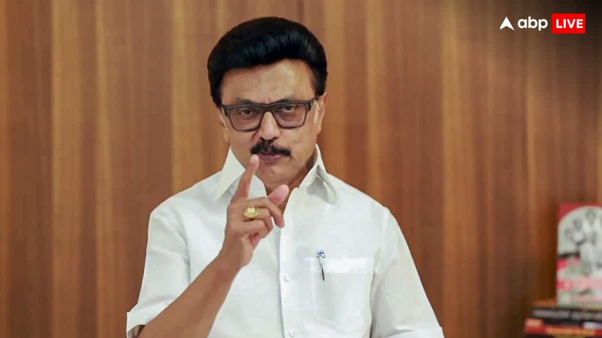 तमिलनाडु सरकार पर आरोप लगाते हुए अपनी ही पार्टी को लताड़ गए एमके स्टालिन