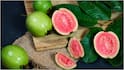 Guava For Breakfast : ఉదయాన్నే బ్రేక్‌ఫాస్ట్‌లో రోజూ ఒక జామపండు తింటే కలిగే 7 అద్భుతమైన ప్రయోజనాలు ఇవే