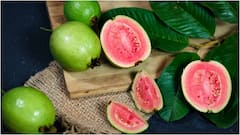 Guava For Breakfast : ఉదయాన్నే బ్రేక్‌ఫాస్ట్‌లో రోజూ ఒక జామపండు తింటే కలిగే 7 అద్భుతమైన ప్రయోజనాలు ఇవే