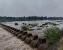 Orsang River: મધ્ય ગુજરાતમાં વરસાદી આફત, ઓરસંગ અને હેરણ નદી બે કાંઠે, રાજવાસણા રબ્બર ડેમ છલોછલ