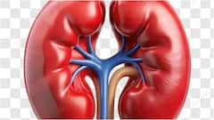 Kidney Health : కిడ్నీ వ్యాధి లక్షణాలు కనిపించకపోయినా.. శరీరంలో ఈ మార్పులు కనిపిస్తే పెద్ద ప్రమాదమే, జాగ్రత్త