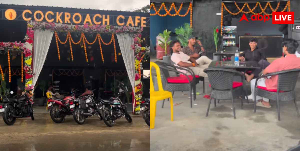 Cockroach Cafe: बिहार में खुला 'कॉकरोच कैफे', यूजर्स बोले- यहां जाने के लिए हिम्मत चाहिए