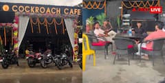 बिहार में खुला 'कॉकरोच कैफे', यूजर्स बोले- यहां जाने के लिए हिम्मत चाहिए