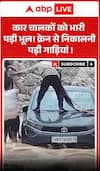 A costly mistake for the car drivers! Vehicles had to be pulled out using a crane.