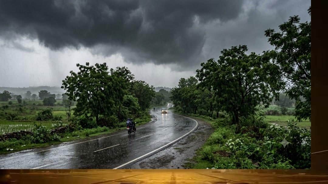 ગુજરાતમાં મેઘરાજાની ધમાકેદાર બેટિંગ