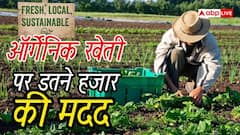 सरकार दे रही ऑर्गेनिक खेती पर आर्थिक मदद, उठाएं फायदा