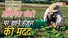 सरकार दे रही ऑर्गेनिक खेती पर आर्थिक मदद, उठाएं फायदा