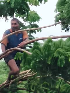 अंजनी नदीच्या पुरात अडकला तरुण, पाच तासांवर झाडावरची कसरत; बचावासाठी मोठा अडथळा, पथकाचे प्रयत्न