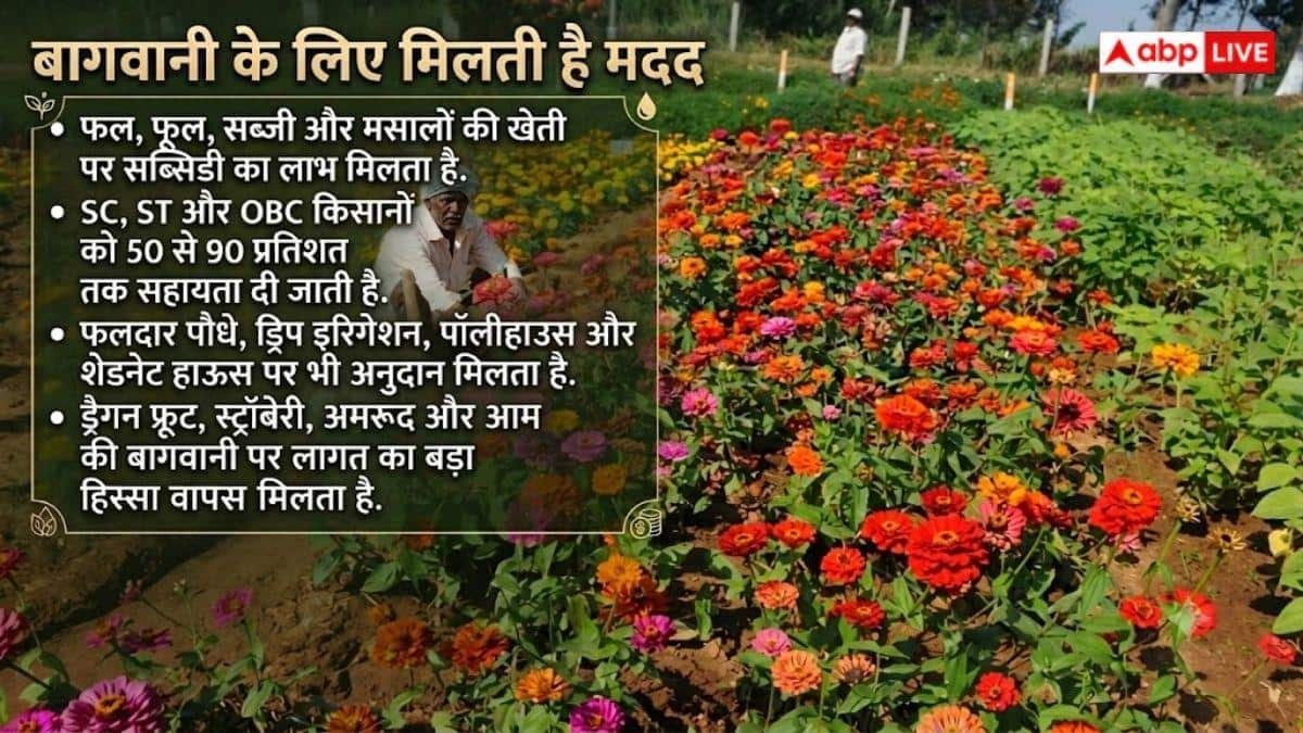 इन योजनाओं का लाभ उठाएं SC/ST किसान, मिलती है 90% तक सब्सिडी