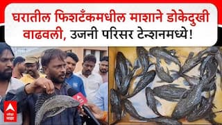 Ujani Helicopter Fish : घरातील फिशटँकमधील माशाने डोकेदुखी वाढवली, जैवविविधता, मच्छीमार अन्‌ धरणासाठी धोक्याची घंटा, उजनी परिसर टेन्शनमध्ये!
