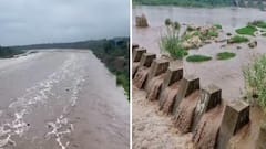 Orsang River: મધ્ય ગુજરાતમાં વરસાદી આફત, ઓરસંગ અને હેરણ નદી બે કાંઠે, રાજવાસણા રબ્બર ડેમ છલોછલ