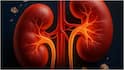 Kidney Health : కిడ్నీ వ్యాధి లక్షణాలు కనిపించకపోయినా.. శరీరంలో ఈ మార్పులు కనిపిస్తే పెద్ద ప్రమాదమే, జాగ్రత్త