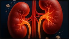 Kidney Health : కిడ్నీ వ్యాధి లక్షణాలు కనిపించకపోయినా.. శరీరంలో ఈ మార్పులు కనిపిస్తే పెద్ద ప్రమాదమే, జాగ్రత్త