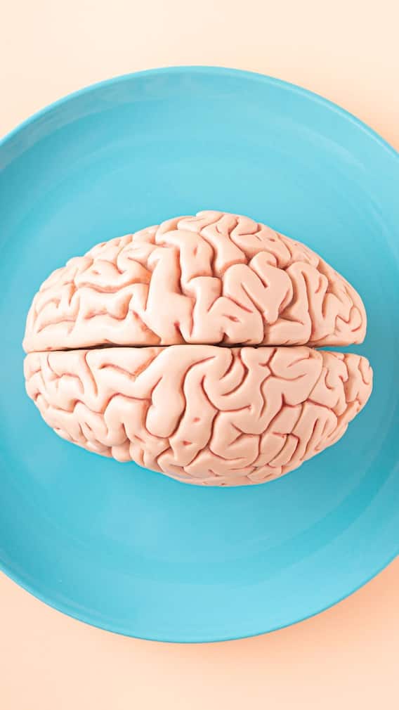 कमी वेळात जास्त लक्षात ठेवण्याच्या टिप्स माहितीय?