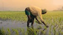 Pradhan Mantri Kisan Maandhan Yojana: 100 रुपये लगाओ हर महीने 3000 पाओ, किसानों के लिए पेंशन योजना