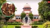 आवारा पशुओं से होने वाले सड़क हादसों पर SC की सख्त टिप्पणी, क्या कहा?