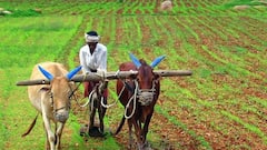 પીએમ કિસાન યોજનાનો 24મો હપ્તો ક્યારે આવશે? આ 3 કામ નહીં કરો તો અટવાઈ જશે ₹2000