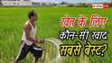किसानों के लिए कौन-सी खाद फायदेमंद? यहां जानें