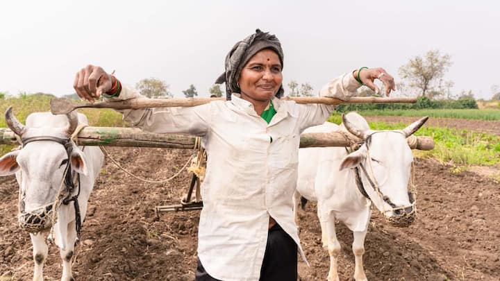 इस योजना की एक और खासियत यह है कि इसका भुगतान करना बेहद आसान बना दिया गया है. पीएम-किसान योजना का लाभ लेने वाले किसान इस योजना का अंशदान सीधे उसी बैंक खाते से जमा कर सकते हैं, जिस खाते में उन्हें पीएम-किसान की किस्त मिलती है. इससे किसानों को अलग से पैसे जमा करने की झंझट नहीं उठानी पड़ती और यह प्रक्रिया पूरी तरह ऑटोमेटिक हो जाती है.