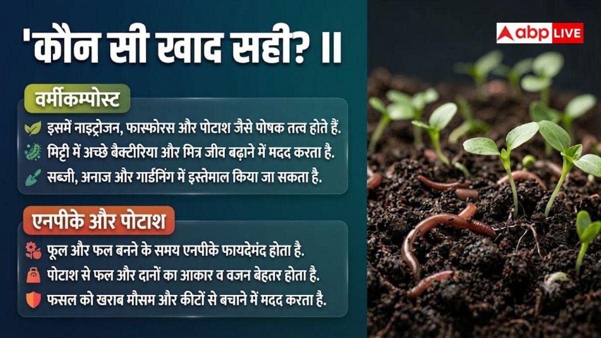 किसानों के लिए कौन-सी खाद फायदेमंद? यहां जानें