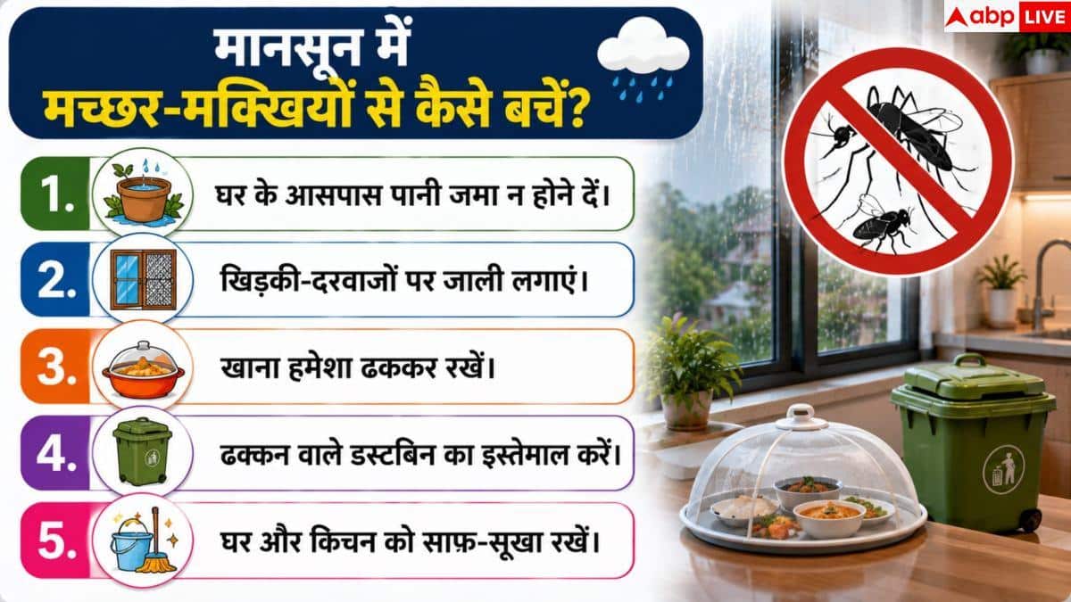 Mosquito Control Tips: बारिश में घर में बढ़ रहे हैं मच्छर-मक्खी, तुरंत अपनाएं ये उपाय