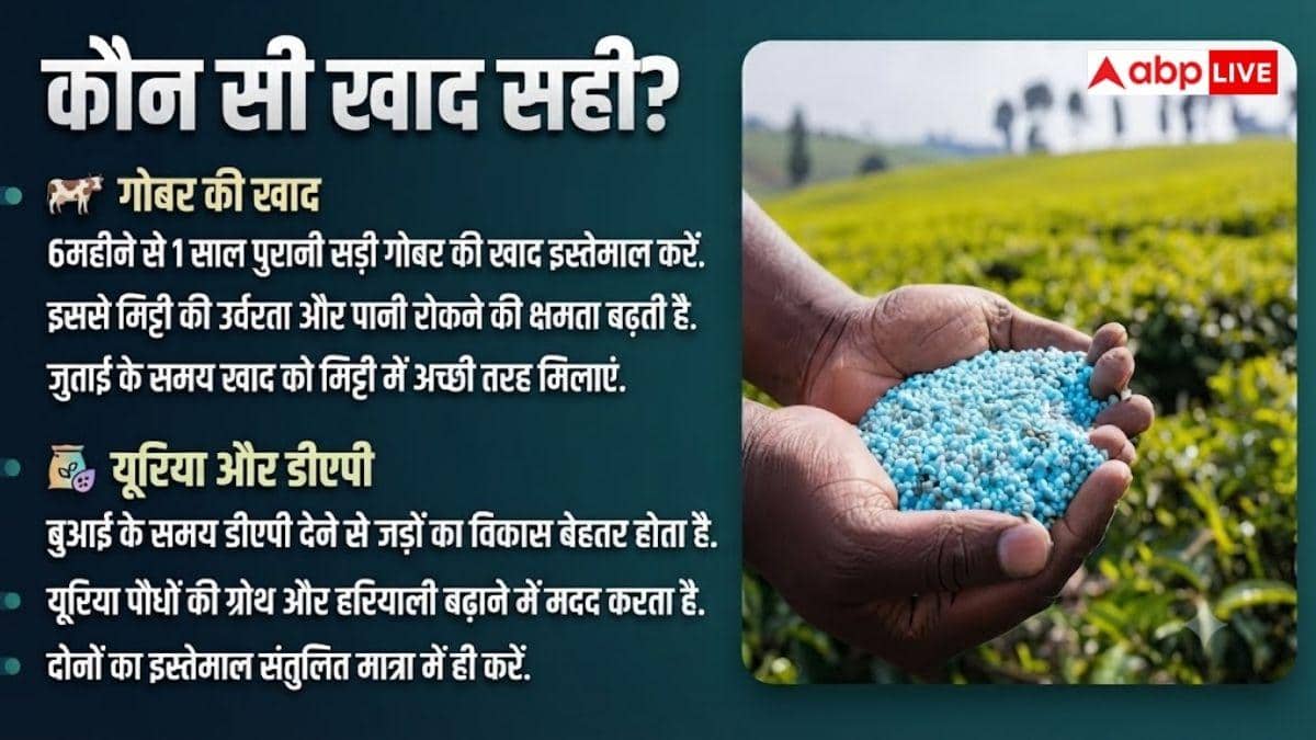 किसानों के लिए कौन-सी खाद फायदेमंद? यहां जानें