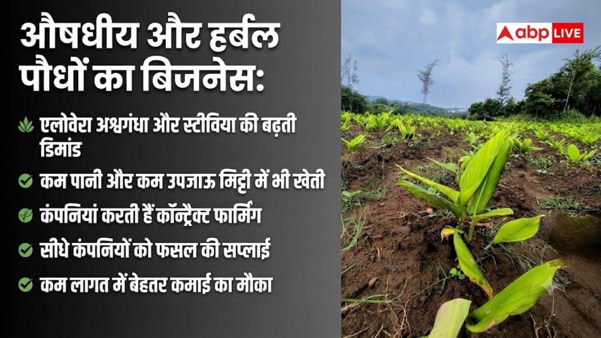 खेत पड़ा है खाली, शुरू कर सकते हैं ये बिजनेस