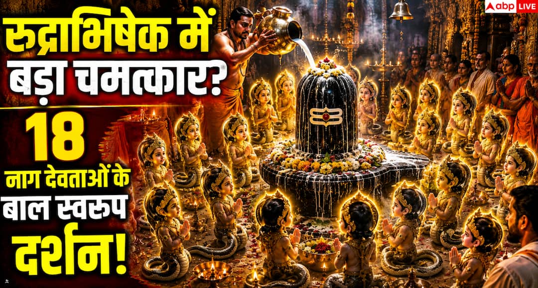 South Kali Peeth: दक्षिण काली पीठ में श्रद्धालुओं ने साझा किया दिव्य अनुभव South Kali Peeth: दक्षिण काली पीठ में श्रद्धालुओं ने साझा किया दिव्य अनुभव
