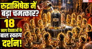 South Kali Peeth: दक्षिण काली पीठ में श्रद्धालुओं ने साझा किया दिव्य अनुभव