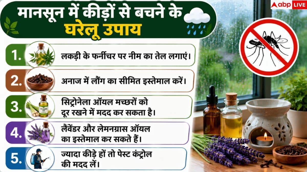 Mosquito Control Tips: बारिश में घर में बढ़ रहे हैं मच्छर-मक्खी, तुरंत अपनाएं ये उपाय