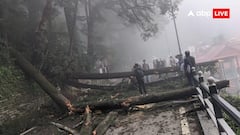 लगातार बारिश से शिमला में डंगा धंसा, कई पेड़ गिरे, सड़कें प्रभावित