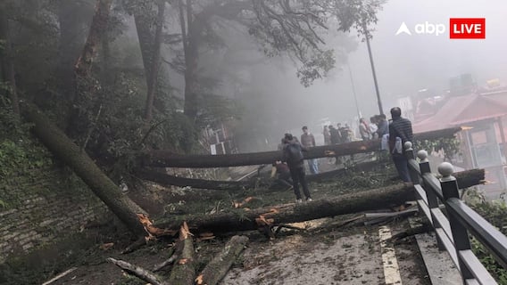 लगातार बारिश से शिमला में डंगा धंसा, कई पेड़ गिरे, सड़कें प्रभावित लगातार बारिश से शिमला में डंगा धंसा, कई पेड़ गिरे, सड़कें प्रभावित