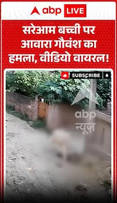 Viral Video : सरेआम बच्ची पर आवारा गौवंश का हमला, वीडियो वायरल!