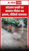 Viral Video : सरेआम बच्ची पर आवारा गौवंश का हमला, वीडियो वायरल!