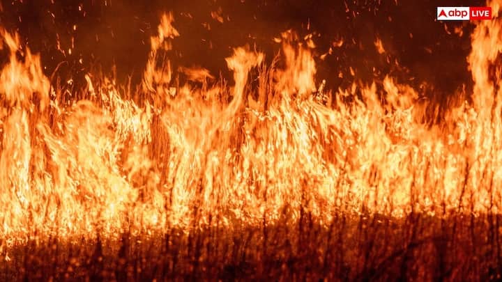 फ्रांस का गिरोंडे इलाका, स्पेन में मैड्रिड के आसपास के इलाके और ग्रीस का क्रेते द्वीप सबसे ज्यादा प्रभावित हुए हैं. यहां जंगलों को काफी ज्यादा भारी नुकसान पहुंचा है और लोगों को आपातकालीन स्थिति में सुरक्षित जगहों पर ले जाना पड़ा है.