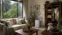Monsoon Making Your Home Smell Damp? 10 Easy Fixes To Keep Moisture And Mould Away