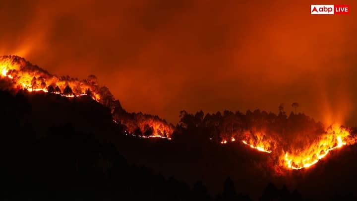 हालांकि आग अक्सर बिजली गिरने, बिजली की लाइनों में खराबी या फिर मशीनों से निकलने वाली चिंगारी की वजह से लगती है लेकिन खराब मौसम की वजह से यह घटना तेजी से बड़ी आपदा में बदल जाती है.