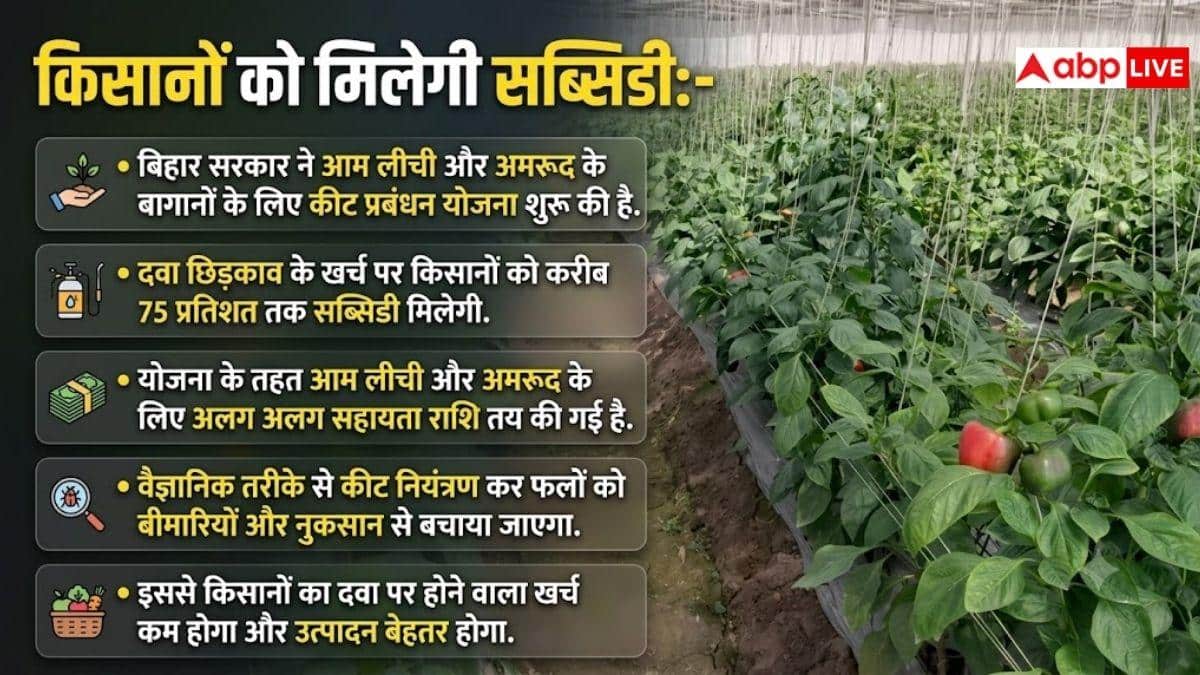 बागवानी किसानों को राहत, आम-लीची-अमरूद के पेड़ों पर मिलेगी सब्सिडी